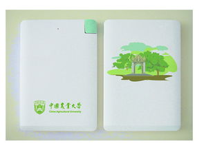 办公文化用品 提升职场效率与品味的催化剂